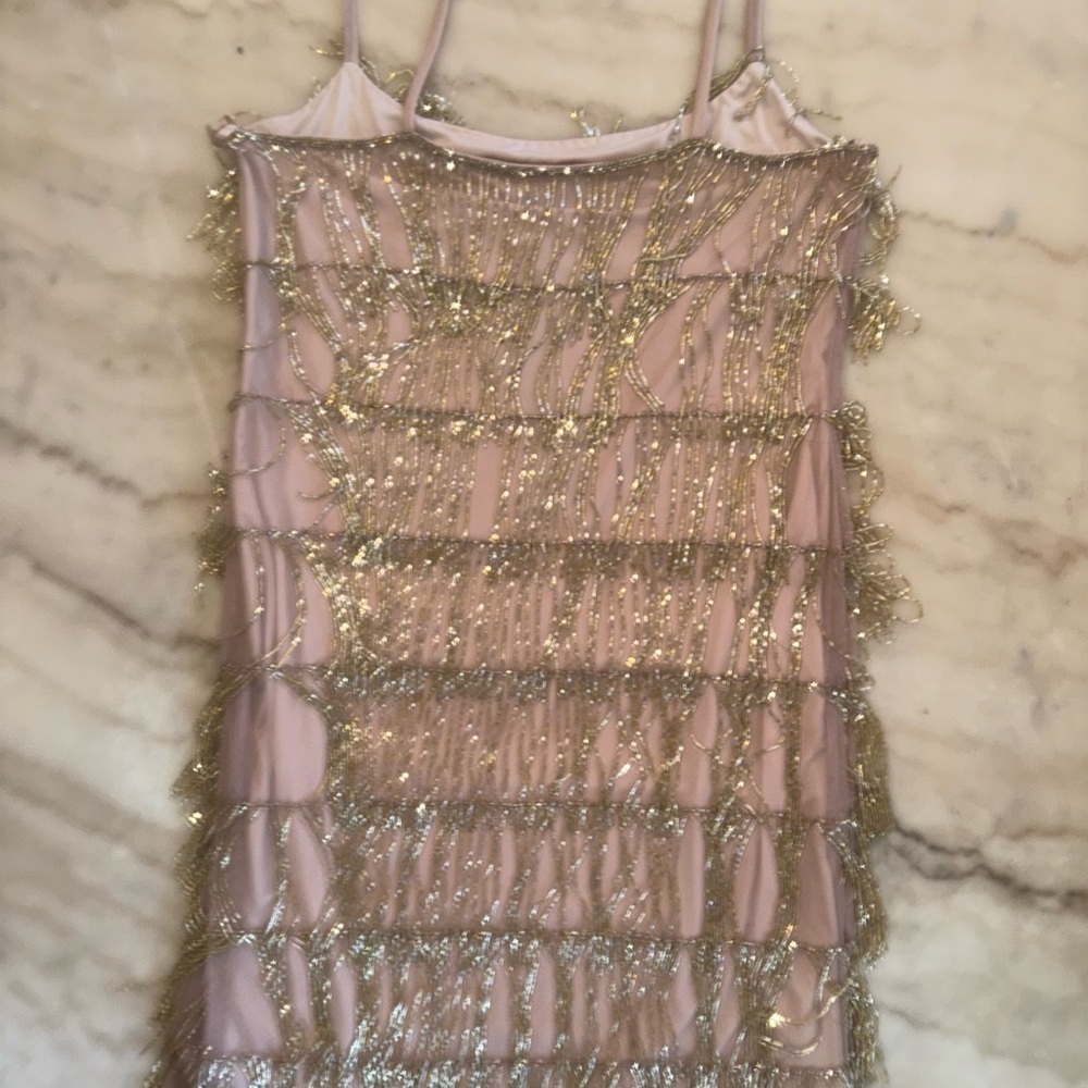 NWT Adrianna Papell Beaded Fringe Mesh Slip dress rose gold size 14 - Picture 10 of 14